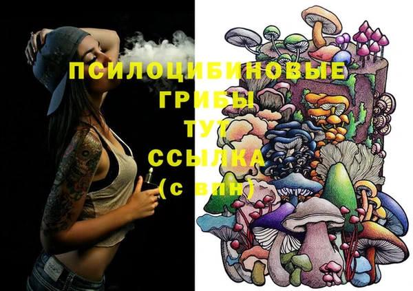 таблы Алексин