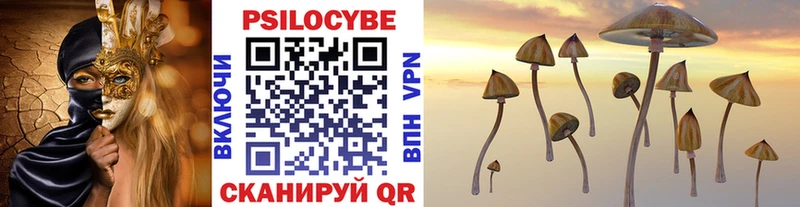 Галлюциногенные грибы прущие грибы  Туймазы 