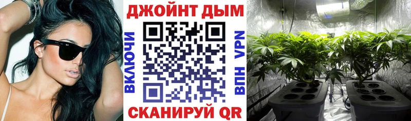 закладка  Туймазы  дарк нет клад  Шишки марихуана планчик 